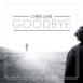 Goodbye (Radio Edit) - Single