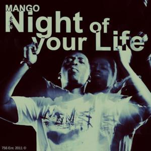 Night of Your Life - Single (Explict Version)