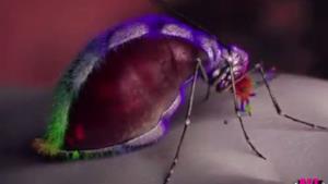 Yeah Yeah Yeahs, Mosquito: il nuovo video è una zanzara assetata di sangue