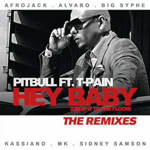 Hey Baby (Drop It to the Floor) [feat. T-PainT-Pain] - The Remixes