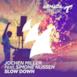 Slow Down (feat. Simone Nijssen) [Radio Edit] - Single