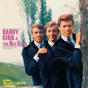The Bee Gee's Sing and Play 14 Barry Gibb Songs