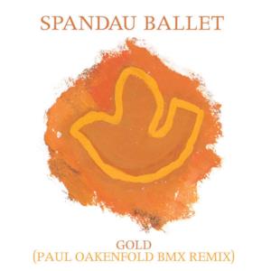 Gold (Paul Oakenfold BMX Remix) - Single