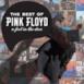 A Foot In the Door: The Best of Pink Floyd