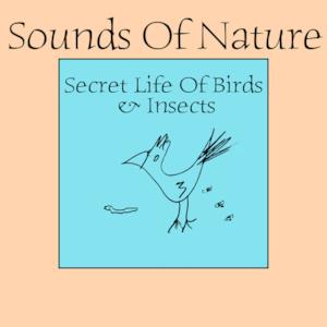 Sounds of Nature: Secret Life of Birds & Insects