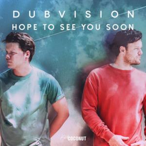Hope to See You Soon - Single