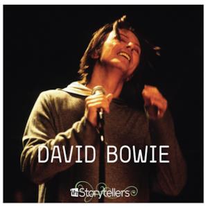 VH1 Storytellers: David Bowie (Live)