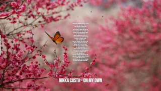 Nikka Costa: le migliori frasi dei testi delle canzoni