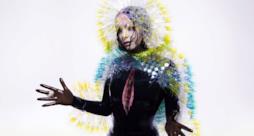 Copertina Vulnicura album 2015 Björk