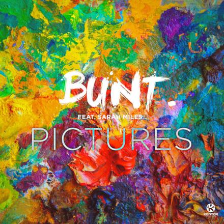 Pictures (feat. Sarah Miles) - Single