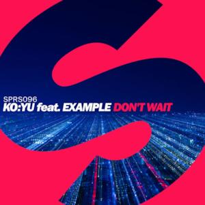 Don't Wait (feat. Example) - Single
