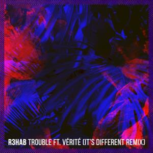Trouble (feat. VÉRITÉ) [It's Different Remix] - Single