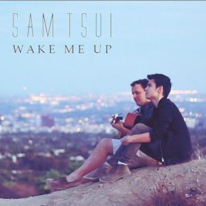 Wake Me Up (Acoustic Version) - Single