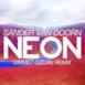 Neon (Ummet Ozcan Remix) - Single
