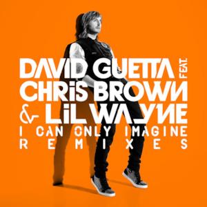 I Can Only Imagine (feat. Chris Brown & Lil Wayne) - Single
