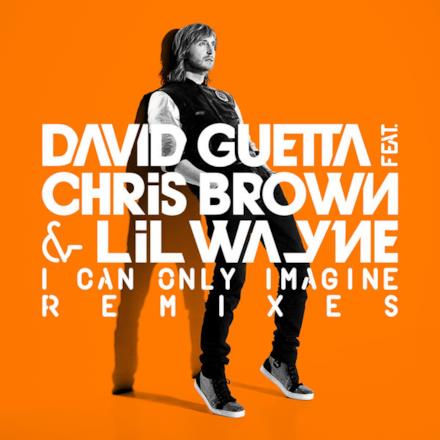 I Can Only Imagine (feat. Chris Brown & Lil Wayne) - Single