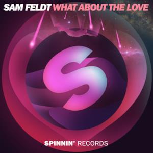 What About the Love - Single
