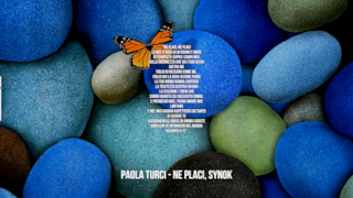 Paola Turci: le migliori frasi dei testi delle canzoni