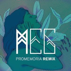 Promemoria Remix - Single