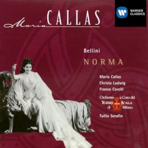 Bellini: Norma (Highlights)