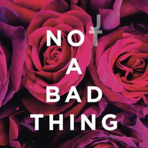 Not a Bad Thing (Radio Edit) - Single