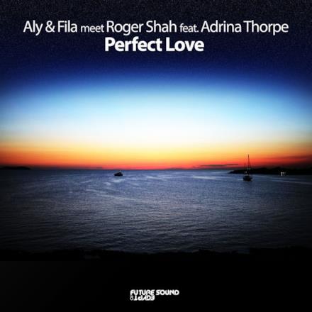 Perfect Love (feat. Adrina Thorpe) - Single