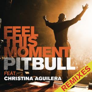 Feel This Moment (Remixes) [feat. Christina Aguilera] - EP