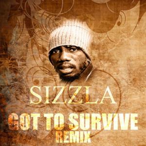 Got To Survive Remix - Single