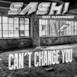 Can't Change You (Remixes) [feat. Plexiphones]