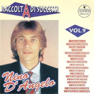 Raccolta di successi, Vol. 9 (The Best of Nino D'Angelo Collection)
