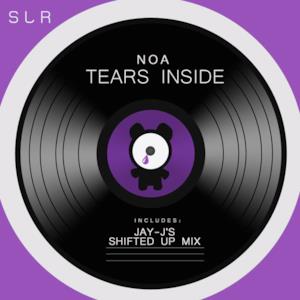 Tears Inside - Single