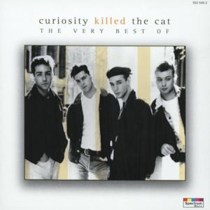 The Very Best of Curiosity Killed the Cat