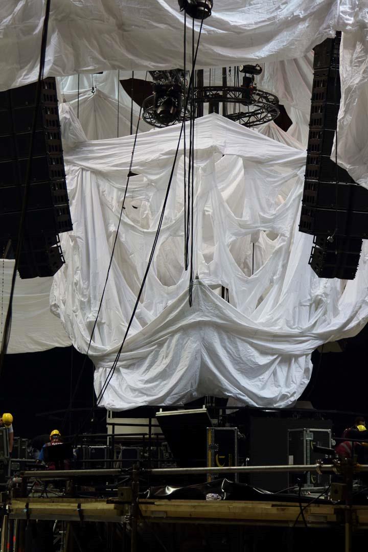 Sensation Into The Wild 2014, il serpente 