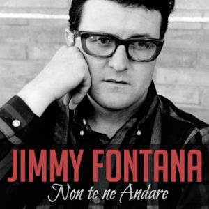 Non te ne andare - Single