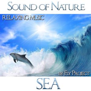 Sound of Nature: Sea