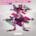 Kangaroo - Single