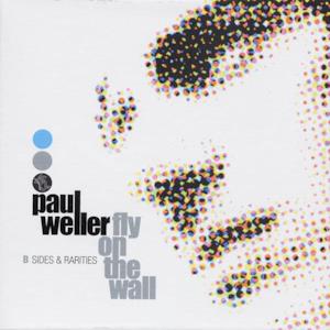 Paul Weller: Fly On the Wall - B-sides & Rarities 1991 - 2001