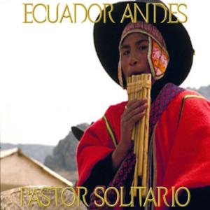 Pastor Solitario Ecuador Andes - Single