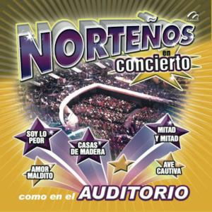 Norteños En Concierto