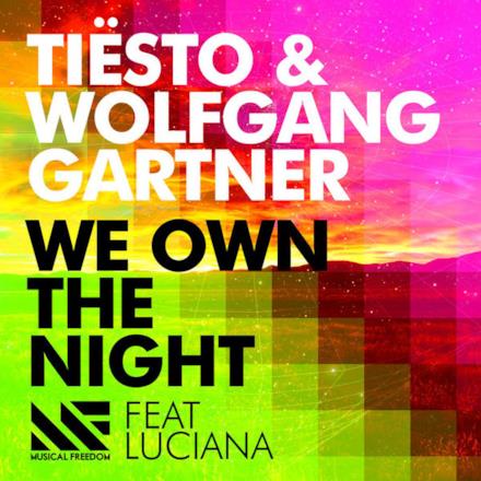 We Own the Night (feat. Luciana) - Single