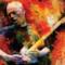 David Gilmour con la sua chitarra