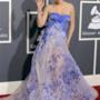 Grammy Awards 2011 - 44