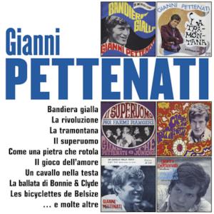 I grandi successi: Gianni Pettenati