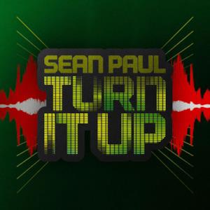 Turn It Up - Single