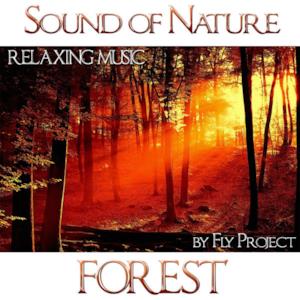 Sound of Nature: Forest