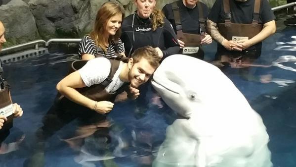 Zedd si è immerso in compagnia di un beluga