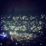 Ed Sheeran - @Palalottomatica / Roma