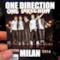 One Direction Milan