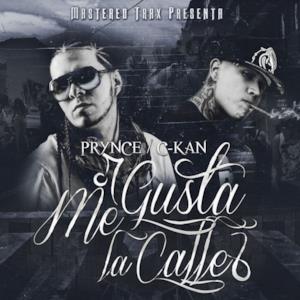 Me Gusta La Calle (feat. Prynce El Armamento) - Single