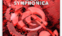 Symphonica (Remixes) - EP